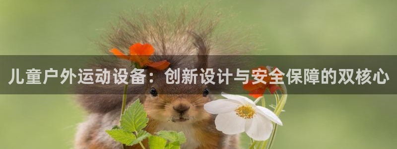 BWIN体育官方正版app娱乐首页网站大全：儿童户外运动设备