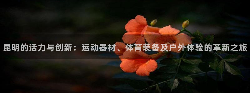 BWIN体育官网下载平台注册要钱吗：昆明的活力与创新：运动器
