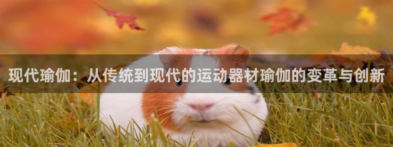 BWIN体育官方正版app娱乐首页官网下载：现代瑜伽：从传统