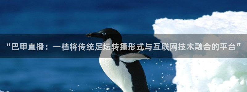 劲爆体育直播nba节目表：“巴甲直播：一档将传统足坛转播形式与互联网技术融合的平台”