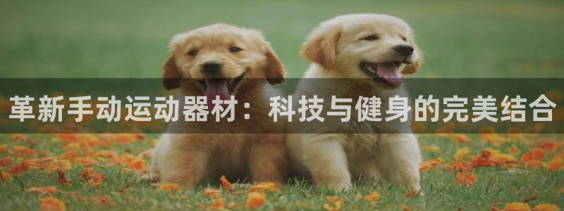 BWIN体育官方正版app五金厂：革新手动运动器材：科技与健