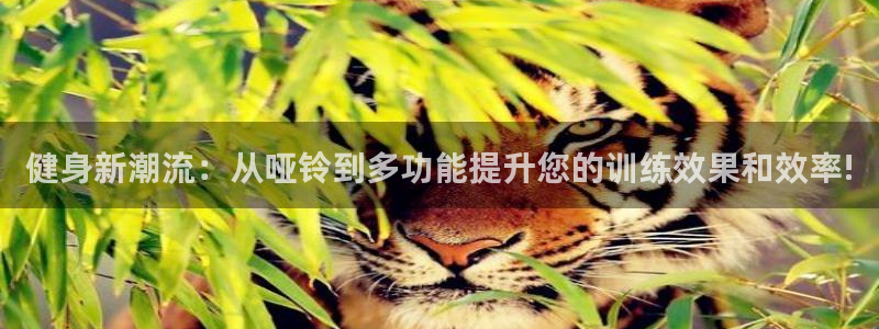 注册BWIN体育官方正版app：健身新潮流：从哑铃到多功能提