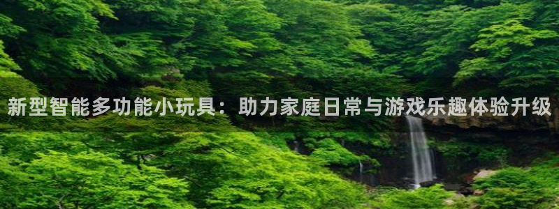 BWIN体育官方正版app开户：新型智能多功能小玩具：助力家