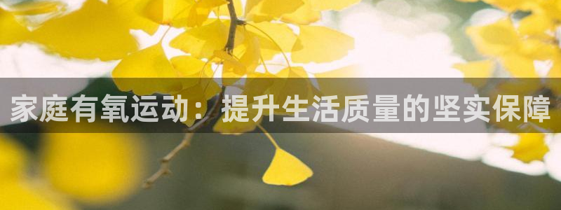 BWIN体育官方正版app科技：家庭有氧运动：提升生活质量的