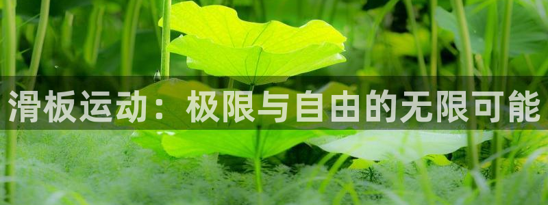 BWIN体育官方正版app娱乐：滑板运动：极限与自由的无限可