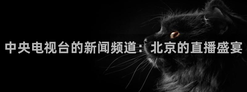 劲爆体育篮球直播：中央电视台的新闻频道：北京的直播盛宴