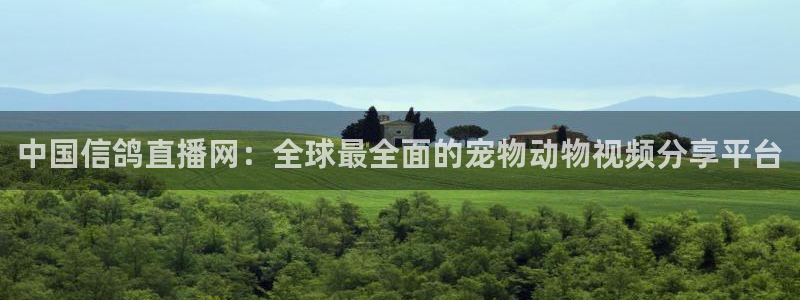 劲爆体育直播免费观看cba：中国信鸽直播网：全球最全面的宠物动物视频分享平台