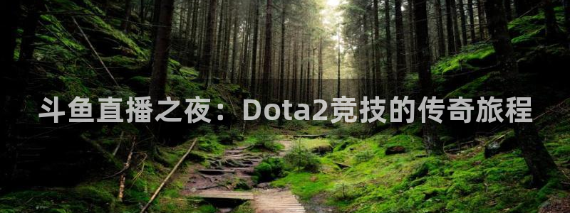 劲爆体育直播nba：斗鱼直播之夜：Dota2竞技的传奇旅程