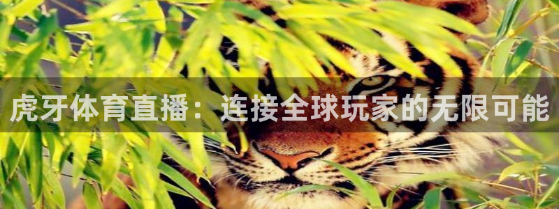 劲爆体育nba现场直播：虎牙体育直播：连接全球玩家的无限可能