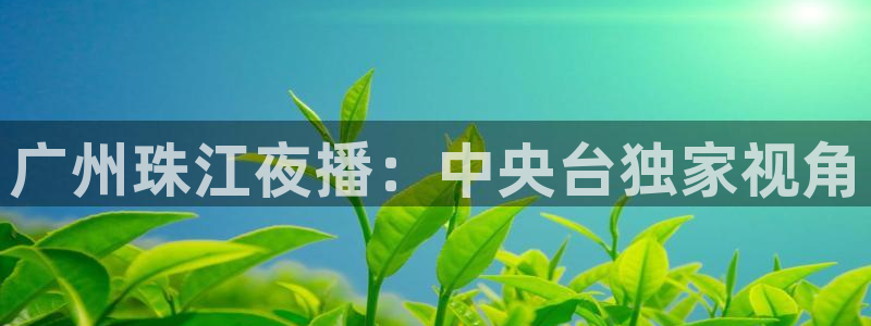 劲爆体育节目表直播：广州珠江夜播：中央台独家视角